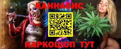 apvp Кингисепп