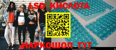 apvp Кингисепп
