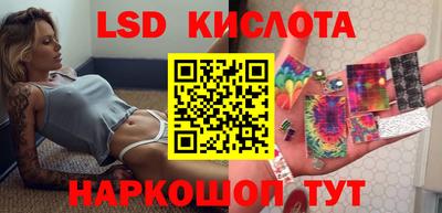 СК Кимры