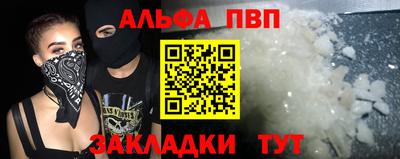 apvp Кингисепп
