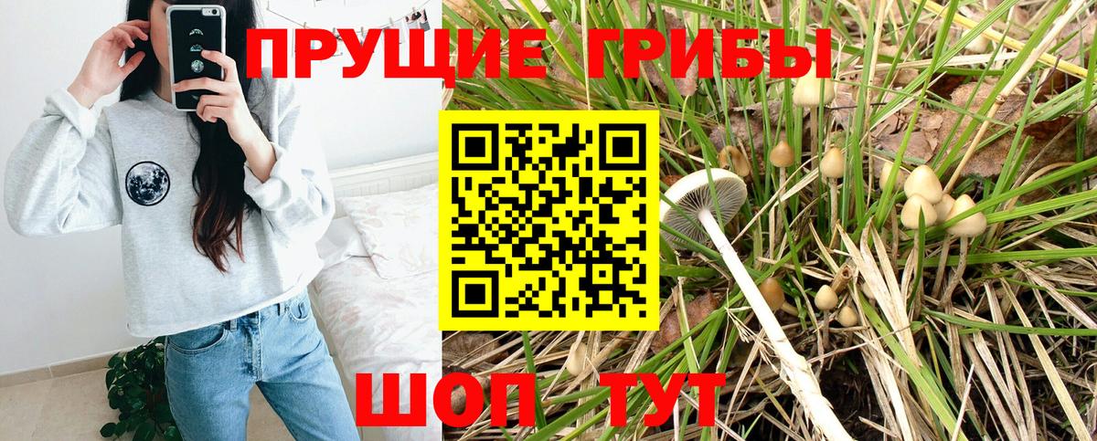 Псилоцибиновые грибы прущие грибы  Псилоцибиновые грибы Magic Shrooms  Лесной  Вход с VPN 